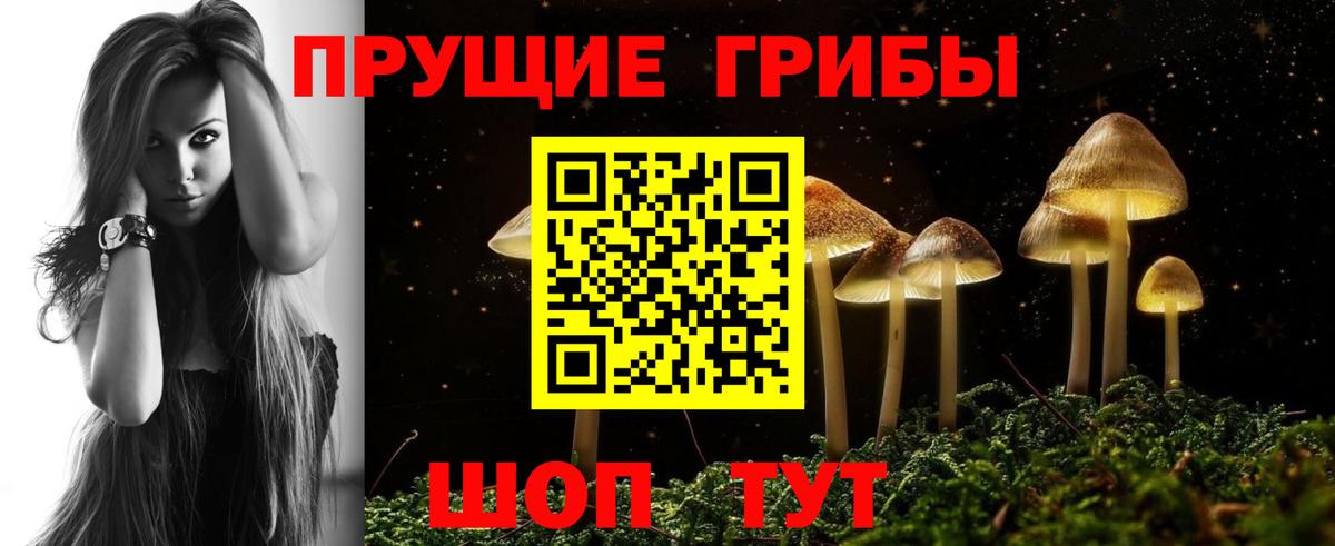 цена   Псилоцибиновые грибы прущие грибы  Вход с VPN  Галлюциногенные грибы MAGIC MUSHROOMS  Чебоксары 